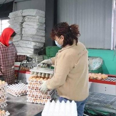 山东豪华打包箱企业排行与行业深度剖析
