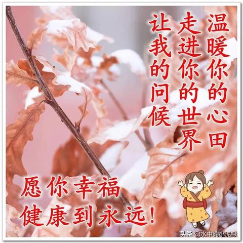 励志语录封面制作秘籍，点亮心灵之光