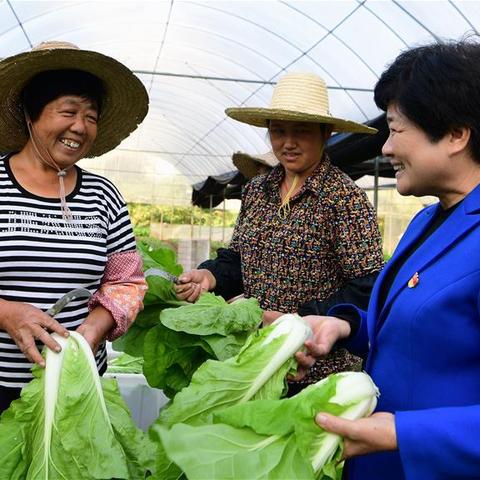 香股今日最新行情动态速递报告