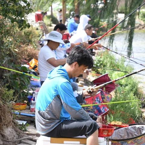 礼泉钓鱼新视频，垂钓乐趣与自然美景的探寻之旅