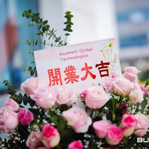 深度探索天津布尔顿，百度之旅的精彩发现