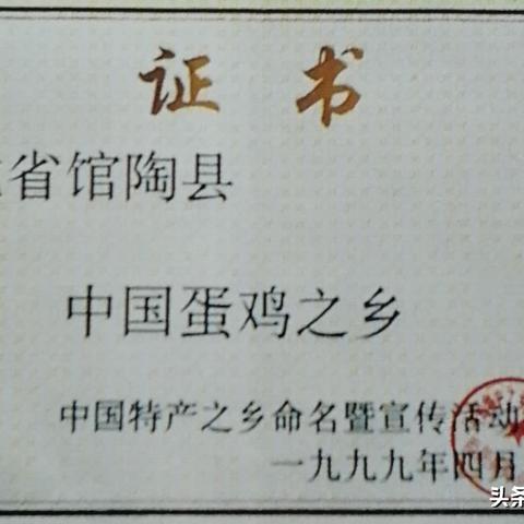 河北蛋托机厂家排名揭晓
