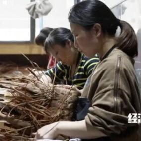 最新游戏开荒加点攻略，解锁新世界秘籍大全