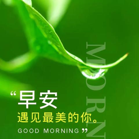 励志语录唤醒清晨，开启美好一天！
