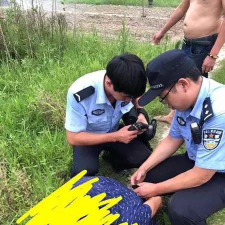 澄江菜地出租信息最新发布，抢先看！