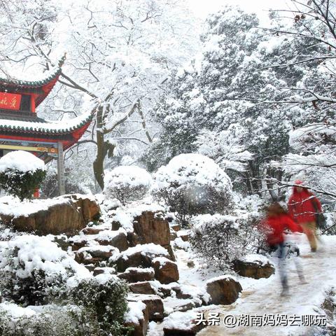 岳麓山徒步路线最新攻略