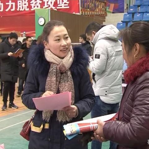 河南金湖最新招聘信息大全汇总