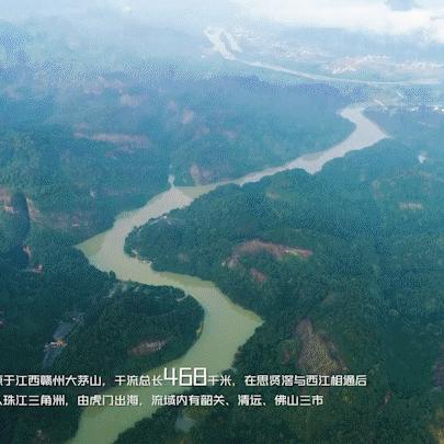 肇庆东江新风貌，集市变化与发展动态速递