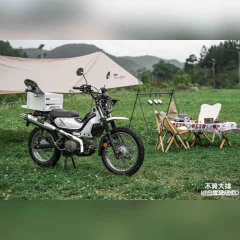 今日汽车发布会盛况，多款新车震撼登场