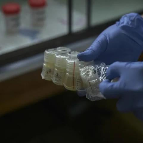 虫书鸟篆 第6页