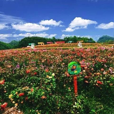 贵州7月避暑新指南，清凉之旅全攻略