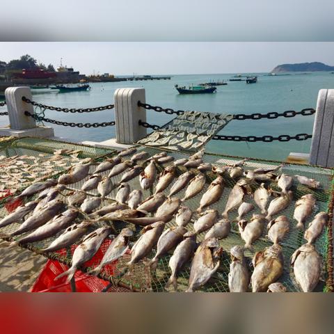 阳江隔断工程公司排名，专业口碑双优推荐