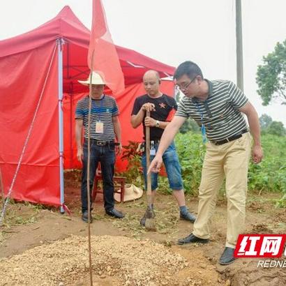 资阳最新出行攻略，畅游无忧！