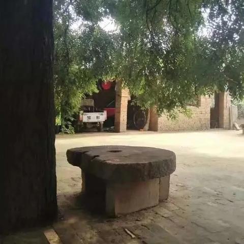 澳门天天免费精准大全：生态之美与自然奇观