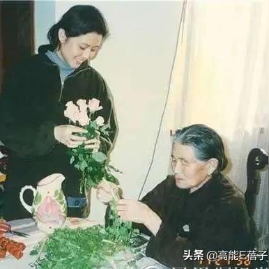 网络逆袭金句，扬帆数字海洋，励志启航