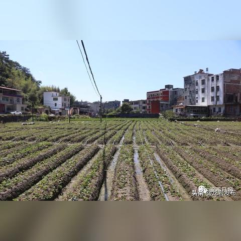 招商正能量语录，激发潜能，携手共创事业辉煌