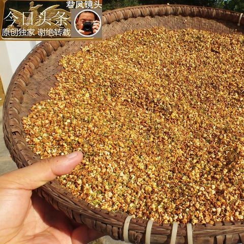 揭秘桂花多重健康功效，百度一下全知道