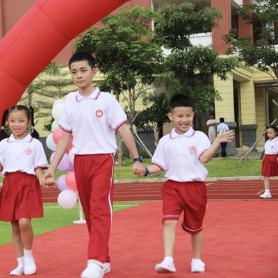 海口智能家居公司排名，智慧生活领航者揭晓