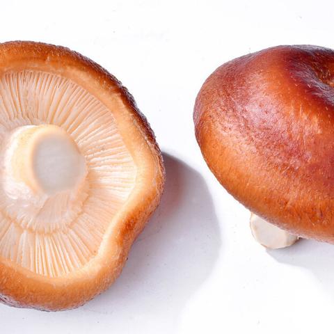 揭秘食材浸泡时间，探索背后的科学与艺术奥秘