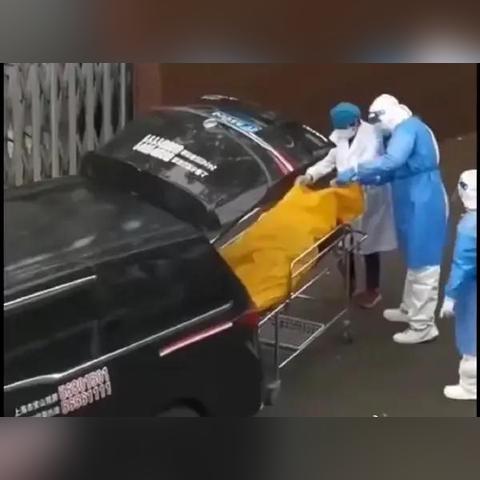 上海转运公司排名及特色亮点解析