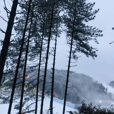 巴中今日降雪，冬日银装素裹美景来袭