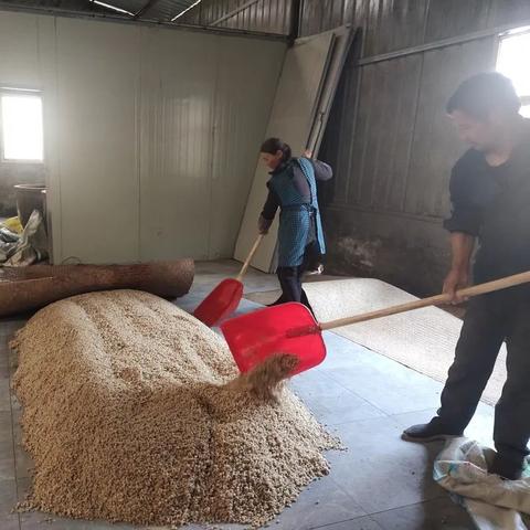 励志人生，酒香伴征程，与奋斗同行