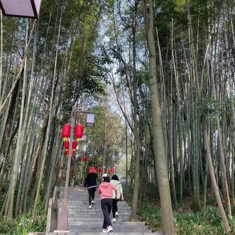 乐山阿坝旅游攻略揭秘，自然与文化完美融合之旅