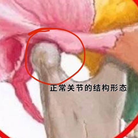 华西正畸科室排名前十，专业正畸领航者