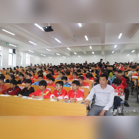 合肥金寨南路发展动态，城市脉搏与民生温度共融共荣