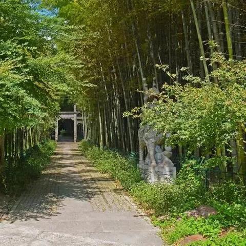 杭州单人诗意天堂旅游攻略揭秘！