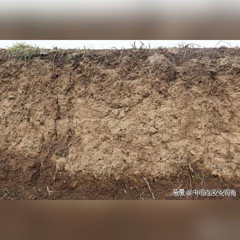 叶县新闻热点聚焦，探寻魅力叶县的蓬勃发展之路