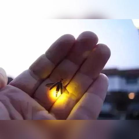 人到中年，头条新闻下的生活智慧洞察