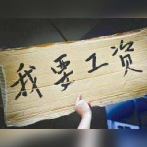 商南今日新闻热点速递，最新消息综述全解析