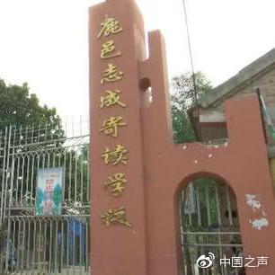 励志哑语学习之旅，无声的力量，唤醒心灵之光