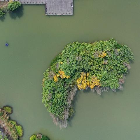 暗室屋漏 第7页