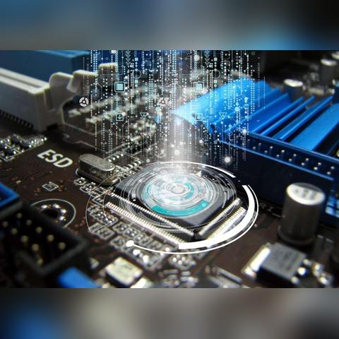 荷兰顶尖公司揭秘领先者的成功之道
