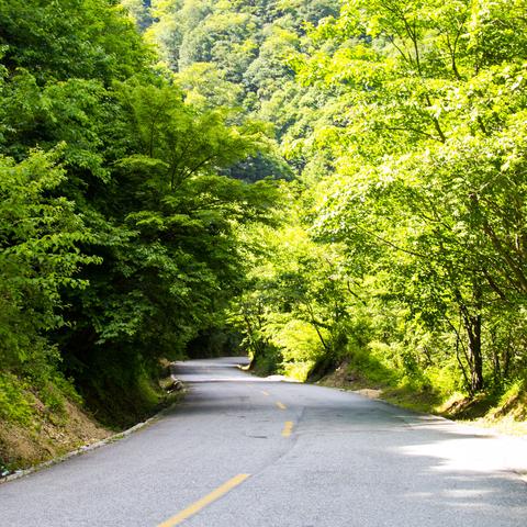 今日黄花岭路况实时更新，驾驶者必看
