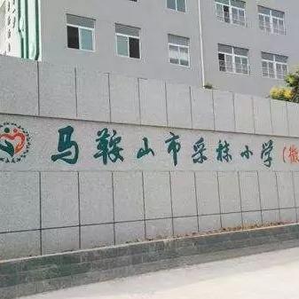 书单号励志金句集结，激发无限潜能，追梦不止的力量源泉