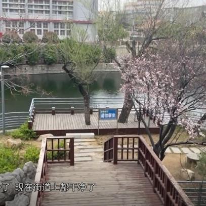 城市公园最新动态与实景图片，绿色生活的脉搏一网打尽