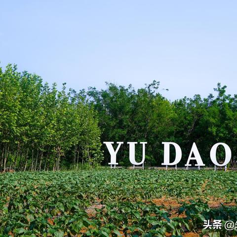 秦皇岛夏日避暑旅游攻略，清凉胜地尽享悠闲时光