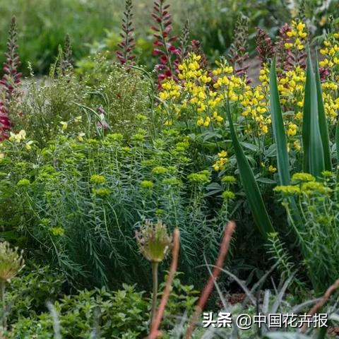 最新测评图片大全集，一网打尽潮流美图，不容错过！