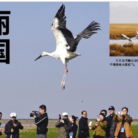 深圳出发最新探索之旅，快乐飞翔攻略