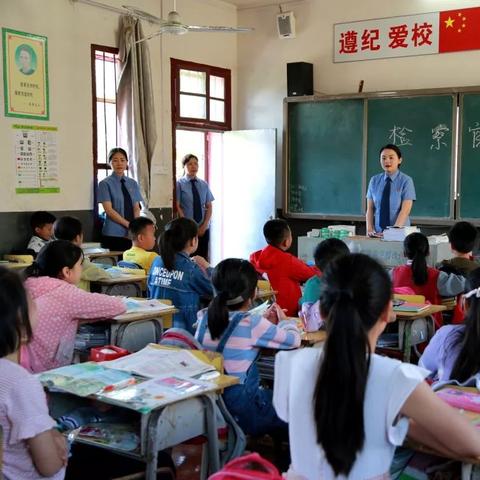 通山最新提前退休政策文件深度解读