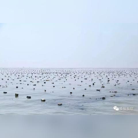 福鼎赶海攻略，揭秘海洋宝藏的探险之旅