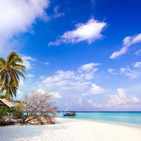 独家首发越南芽庄旅游攻略，完美之旅，畅游越南风情之都