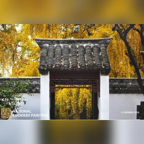 徐州路口新闻头条视频，瞬间精彩，尽览城市风采