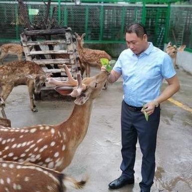 台湾与大陆关系最新深度解析，今日发展探析