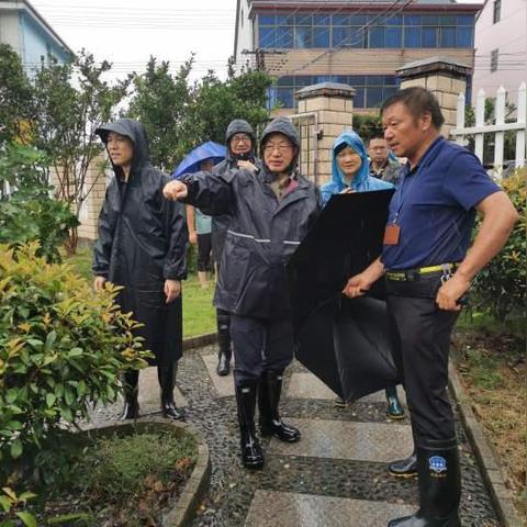 嘉善烟花事故揭秘，最新进展、事故原因与救援动态及后续措施全面追踪