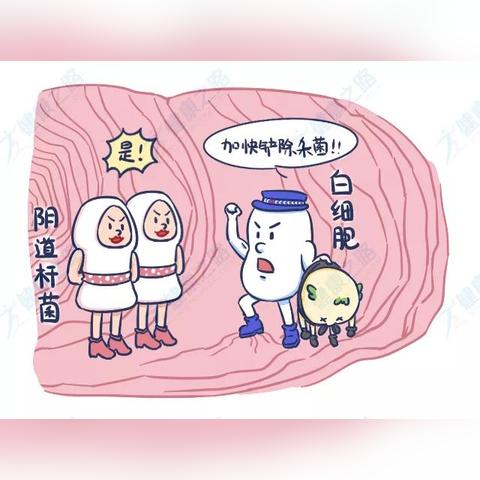 百度解析，妇科白带清洁度的重要性及影响因素解析