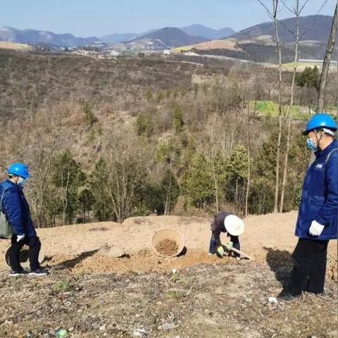 辉县烟草行业最新动态，送烟时间表揭秘，行业脉动与变迁追踪